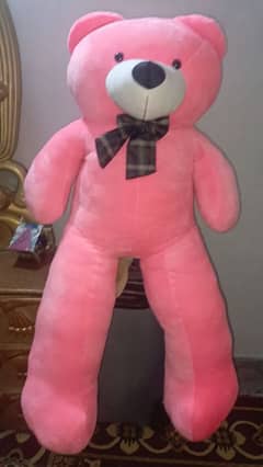 teddy