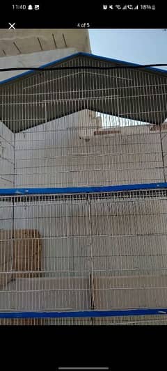 bird pinjra for sale urgent
