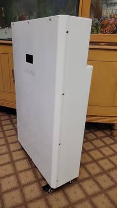 48v 100Ah Lithium Iron phosphate battery