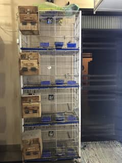 Cage for sale with accessories and boxes