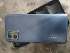 vivo