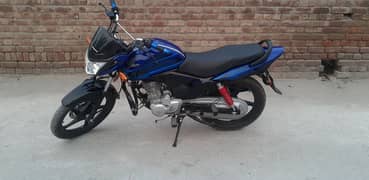 125f bhater vs 125 salf start se ybr