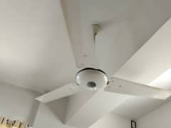 ceiling