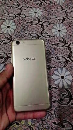vivo