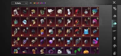 PUBG Game ID