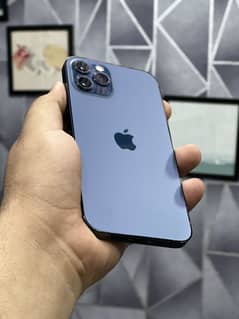 iphone 12pro 128gb pta approved comp box
