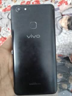 vivo