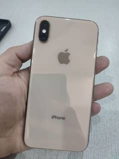 Xs