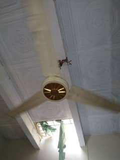 ceiling