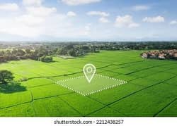 Top City 1, 8 Kanal Commercial Plot For Sale