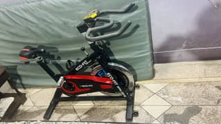 Spin