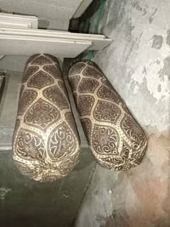 چینوٹی