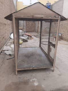 Havvy Bird cage 03067888384