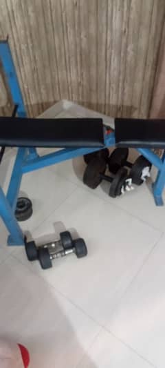 Bench,weights