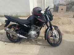 ybr