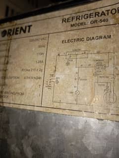 Orient