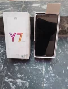 y7 prime