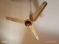 khursheed Fan