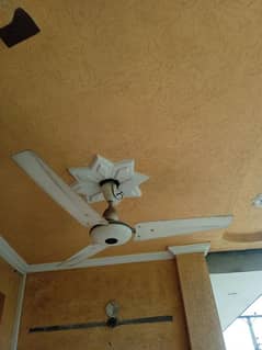 ceiling fan is available for sale