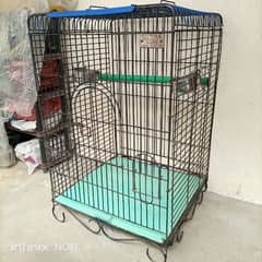 cage for Raw parrot