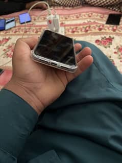iphone 11 for sale