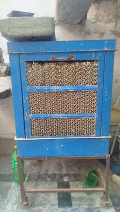 cooler body with cooling pads