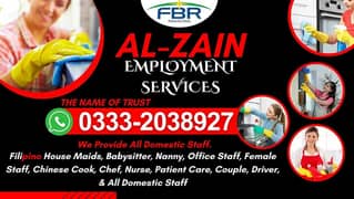 All Domestic Staff House Maids Baby Sitter Cook Drivers Chef Couple