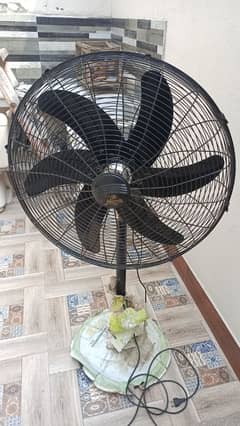 pedestal fan 99.99 cooper 6 blade black