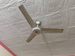 Neat and Clean Ceiling Fan