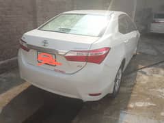 xli 2019 Model Total bumper To bumar jenian For sale O3l36693oo4