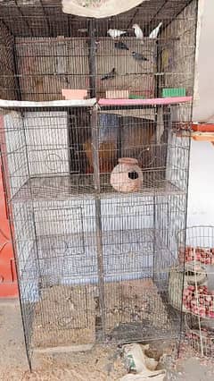 Birds cage ajrent sell