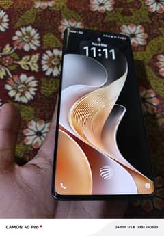 Vivo