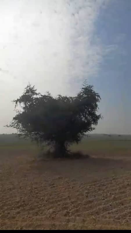 Agricultural Land For Sale In Attock, Punjab, Pakistan 39