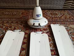 fan available for sale