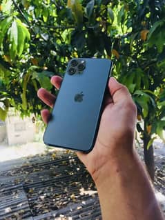IPhone 11 pro (urgent)