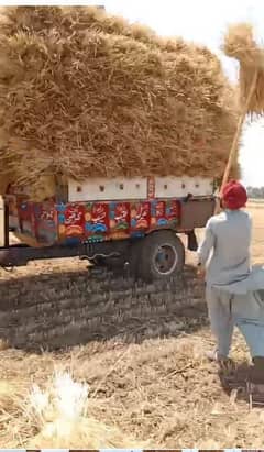 trali for sale location 'chakwal
