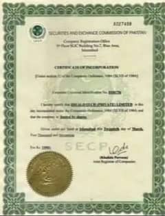 Male & Female Nurse , Physiotherapy, Patient Care , Patient Attendant