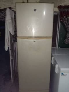 pell full size fridge