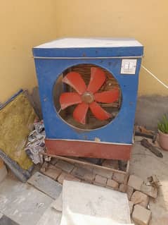 cooler