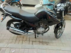 ybr