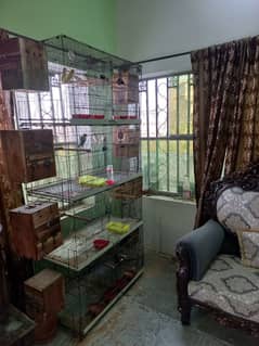 4 Portion Cage For Sale