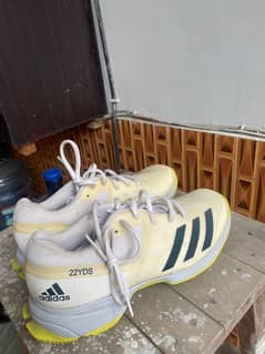 Addidas