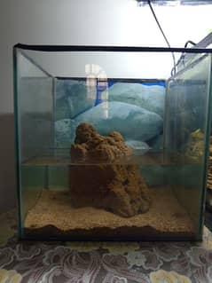 aquarium