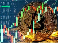 Crypto trading  tuitions center