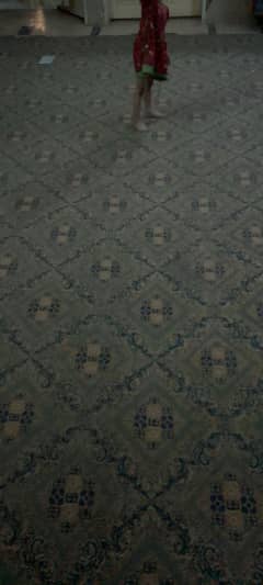carpet