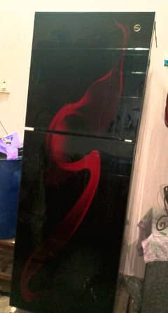 PEL Glass Door Refrigerator