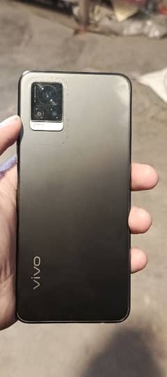 vivo