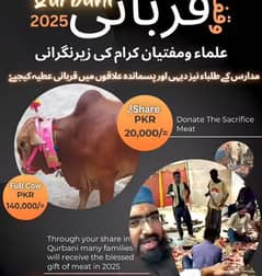 Qurbani