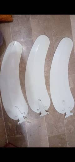 GFC