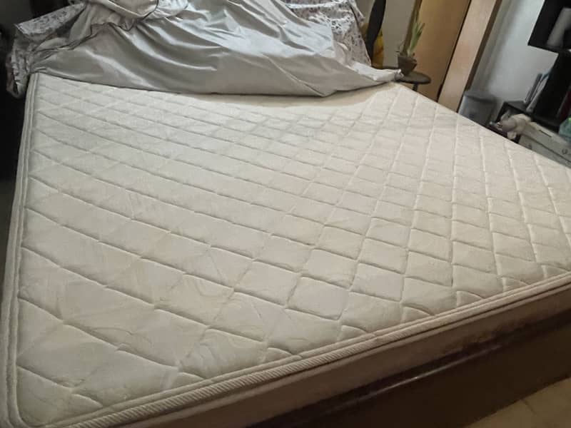master celest plus - king size 9 inch 4